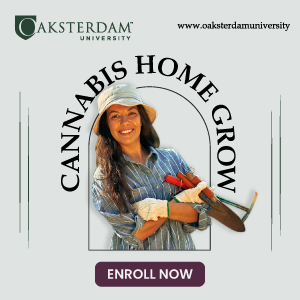 Oaksterdam-Grow-At-Home